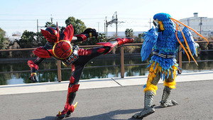 The Boxer, the Left Hand, and the Bird Yummy