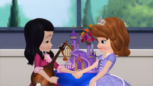 La Princesse timide
