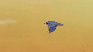 Where Is Pichi?