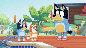 Épisode 1