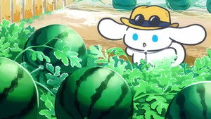 Watermelon