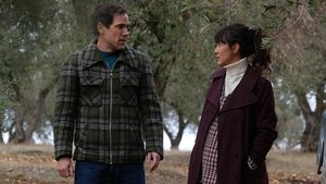 Épisode 8