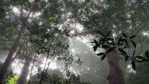 Épisode 12