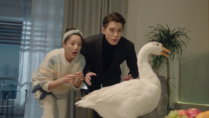 Épisode 6