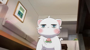 Épisode 11
