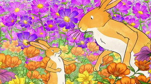 Hare's Eye View