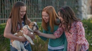 Et une pincée de chien