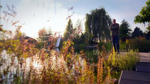 Landscape garden