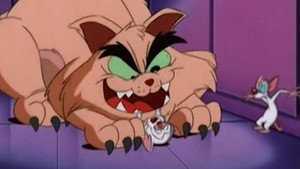 Le chat qui aboyait