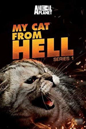 Saison 1