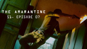 The Amarantine