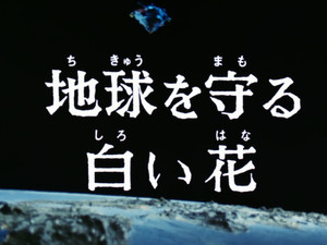 Épisode 31