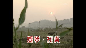 Épisode 259