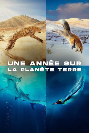 Saison 1