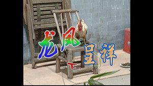 Épisode 60