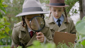 Dirt Detectives