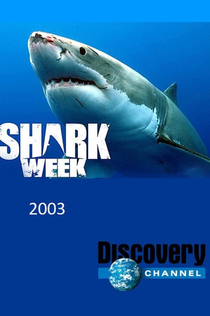 2003