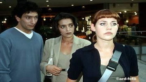 Épisode 11