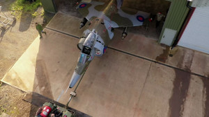 Harrier Jump Jet