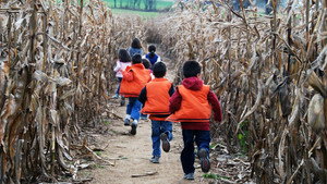 Gosselins, Goblins & Ghouls