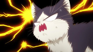 Épisode 3