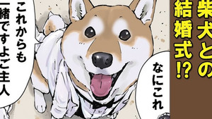 Teach Me, Haru-san / Vow of Servitude / Deer Antlers