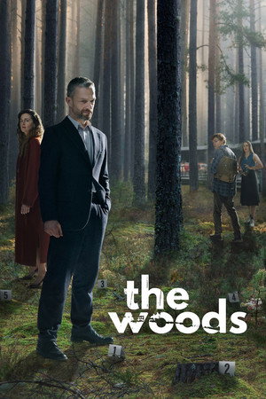 Limited Series