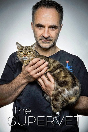 Saison 1