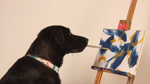 Épisode 7