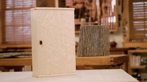 Bow-Front Cabinet in Ash