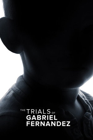 Limited Series