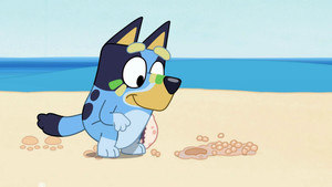 Épisode 5