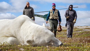 Living with Predators (Conservation)