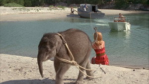 Flipper and the Elephant (2)