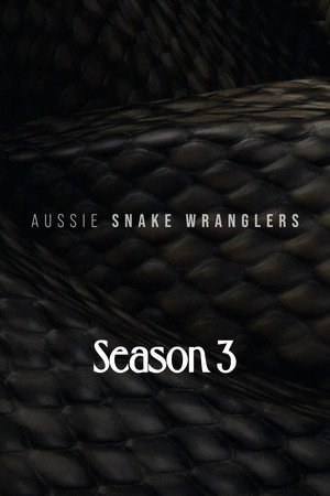 Saison 3