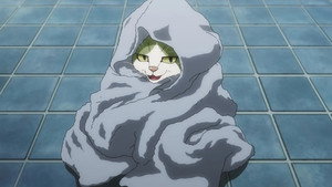 Commeowndo