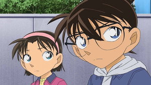 Haibara Ai Imprisonment Case