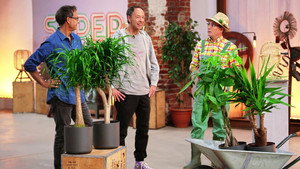 Épisode 4