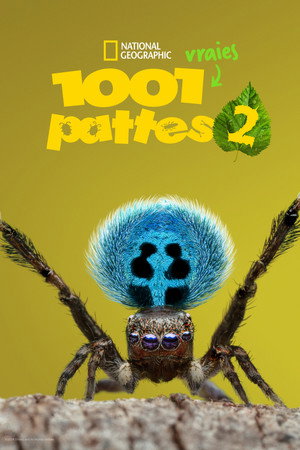 Saison 2