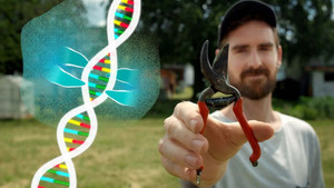 Could We Programme Evoluton?