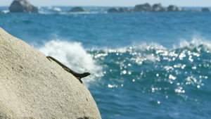 La Vie sans eau