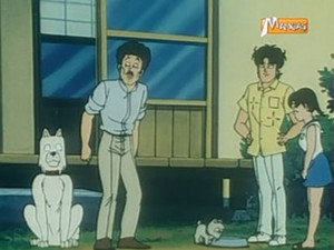 Lassie assure son rôle de père