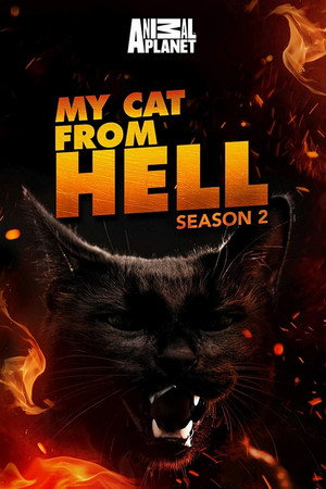 Saison 2