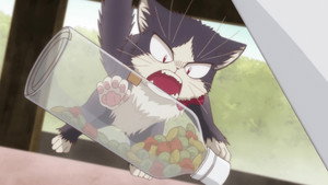 Épisode 5