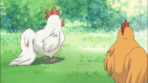 Épisode 12