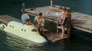 SOS Dolphin