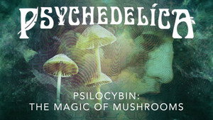 Psilocybine : La magie des champignons