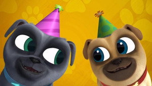 Bingo's and Rolly's Birthday