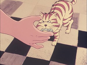 Le Chat perdu