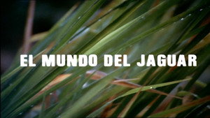 Épisode 8